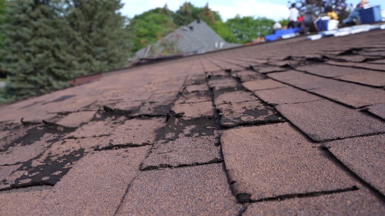 Best 4 Ply Roofing  in Sprague, WV